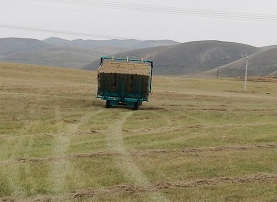 方草捆捡拾堆垛机